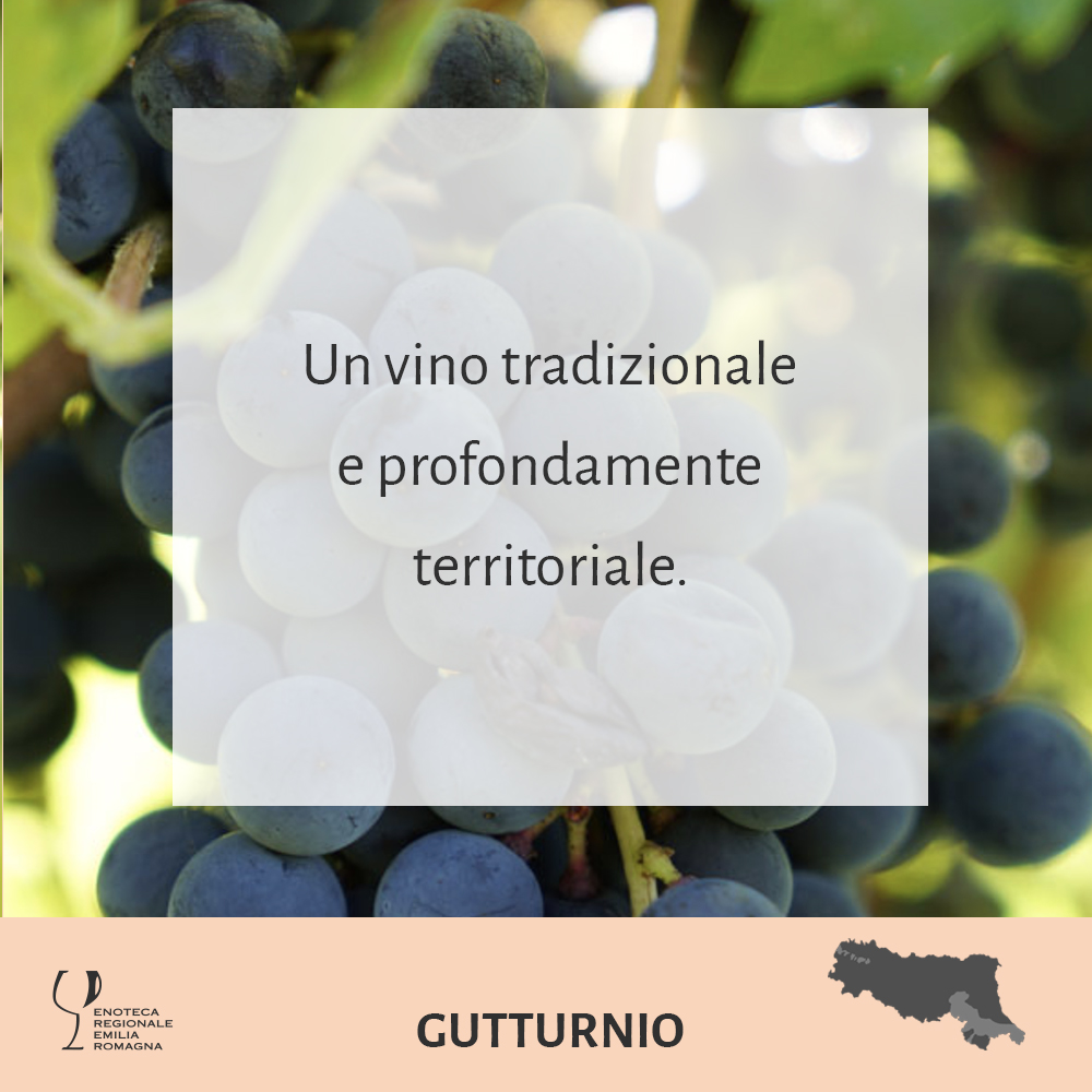 Enoteca Regionale Emilia Romagna post social