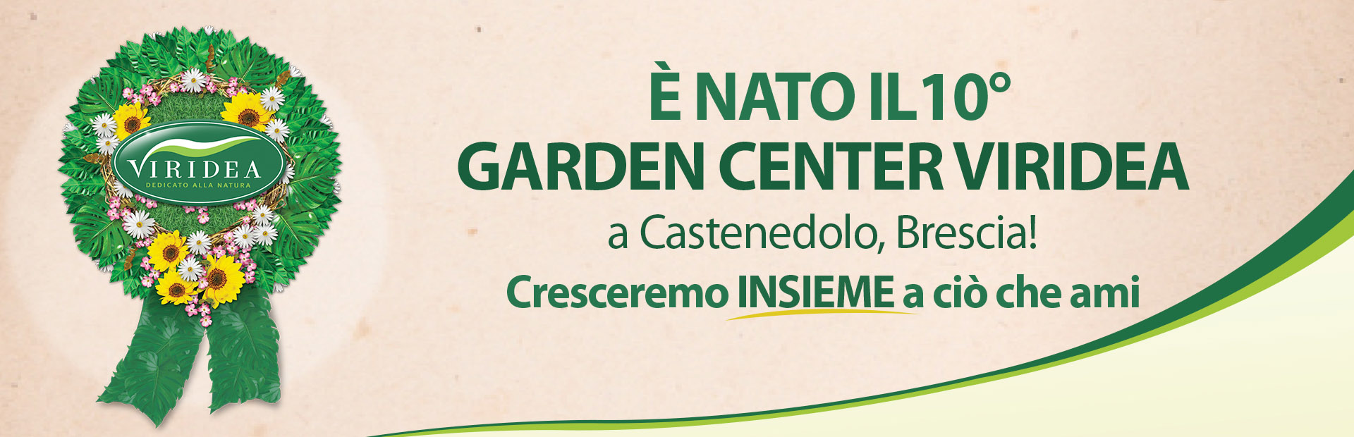 Viridea Immagine di Copertina
