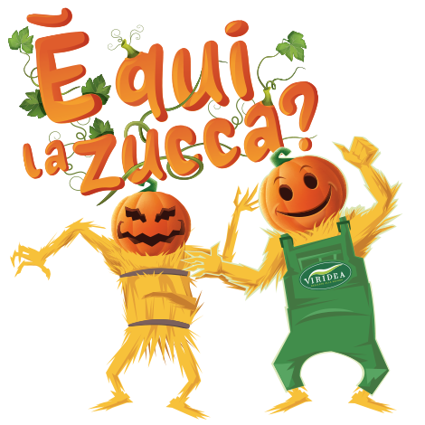Viridea allestimento Zucche